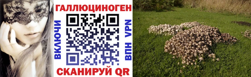 Галлюциногенные грибы ЛСД  магазин    Чишмы 